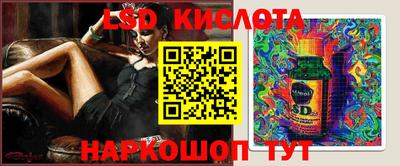 СК Кингисепп