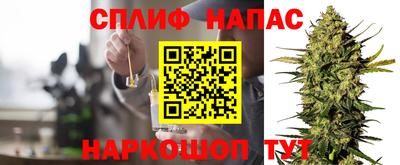 СК Кингисепп