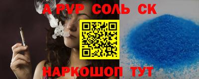 СК Кингисепп