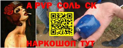 СК Кингисепп
