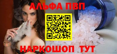 СК Кингисепп